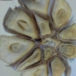 Meet your Posher, Dara